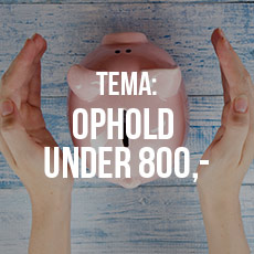 tema_images_under_800